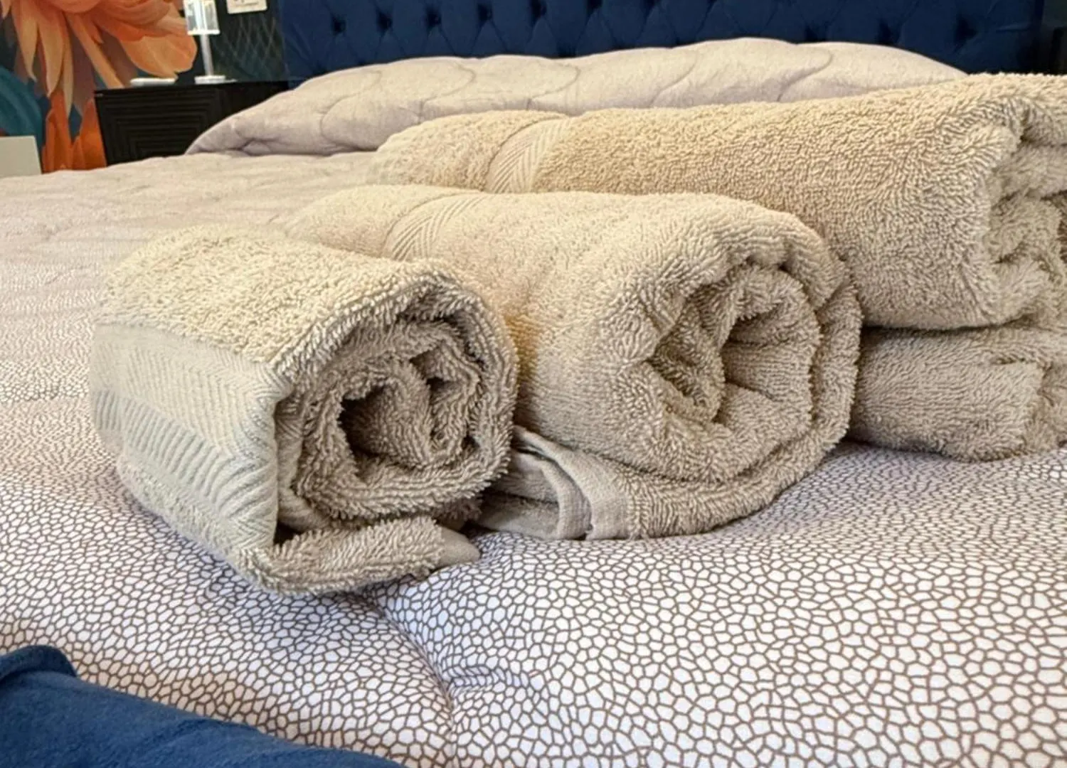 Suite Maison San Pietro Rome Holiday home